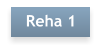 Reha 1